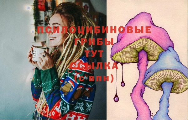 гашишное масло Няндома