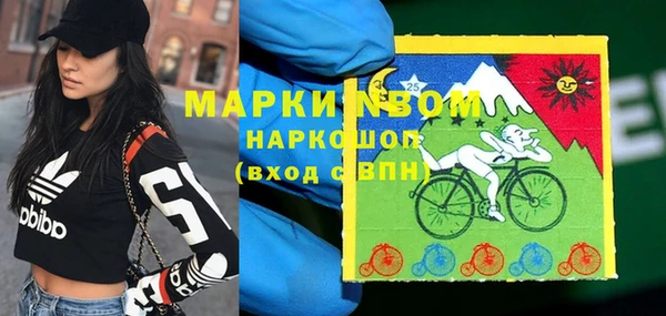 гидра Нязепетровск